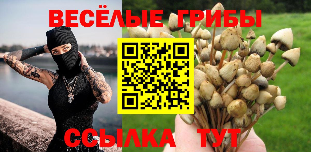 Архангельск  Галлюциногенные грибы MAGIC MUSHROOMS  Вход с VPN 