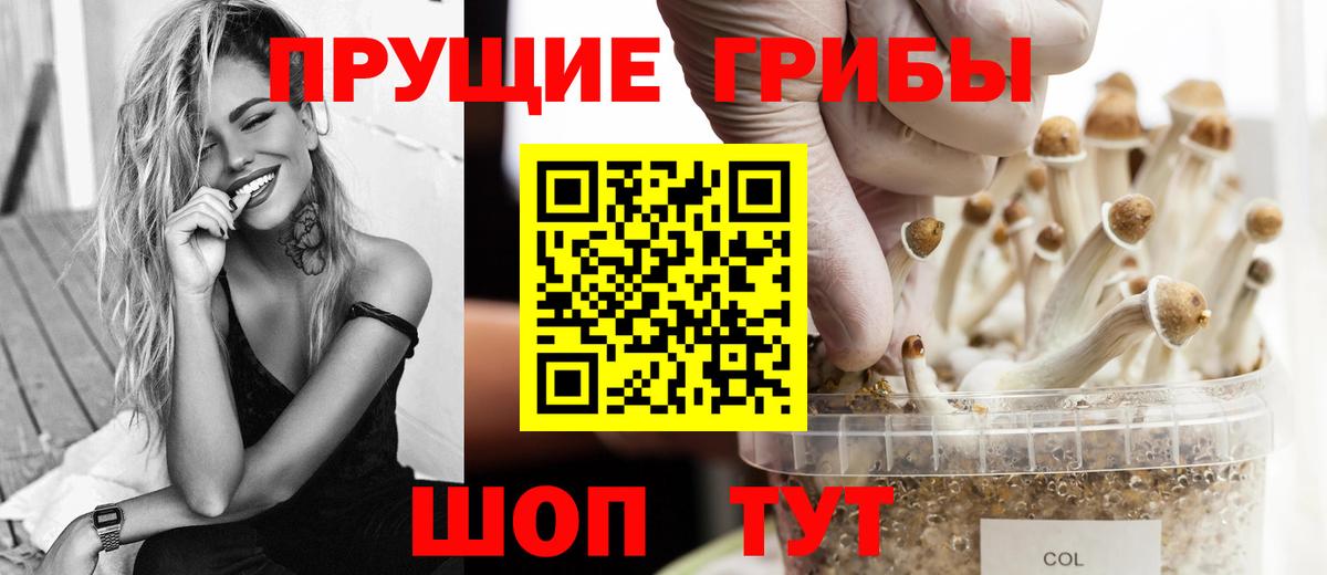 Галлюциногенные грибы Psilocybine cubensis Архангельск